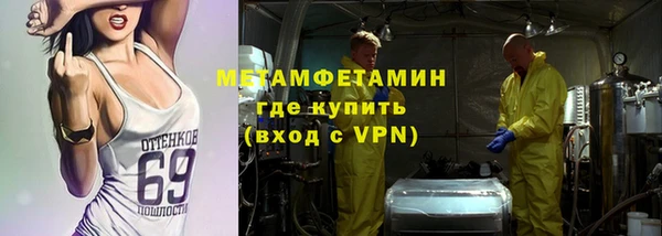 гидра Богородицк