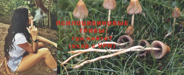 мескалин Иннополис