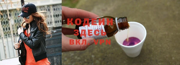 гидра Богородицк