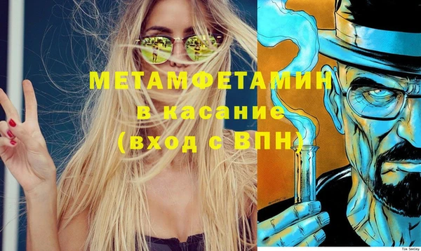 гидра Богородицк