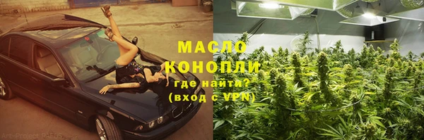 гидра Богородицк