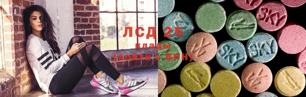 гидра Богородицк