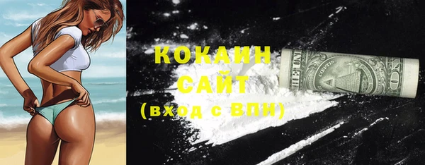 ECSTASY Богородск
