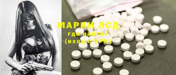 гидра Богородицк