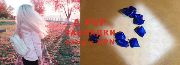 амфетамин Богданович