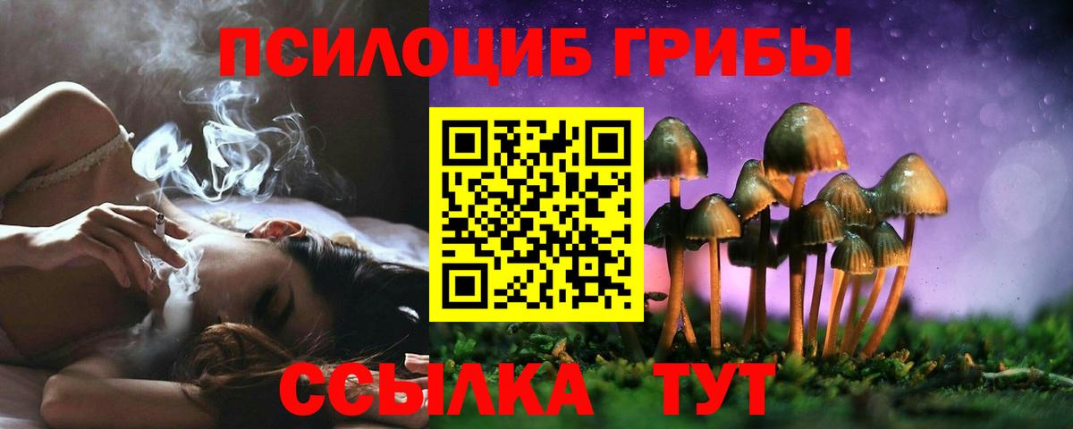Псилоцибиновые грибы Psilocybine cubensis  Вход с VPN  Гатчина 